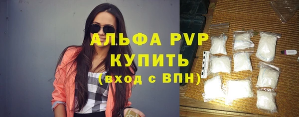 гашик Горняк