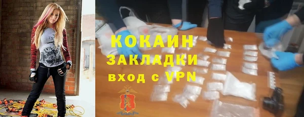 гашик Горняк