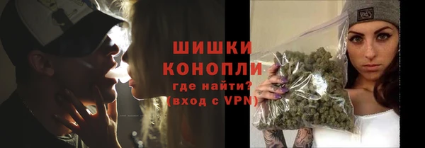 гашик Горняк