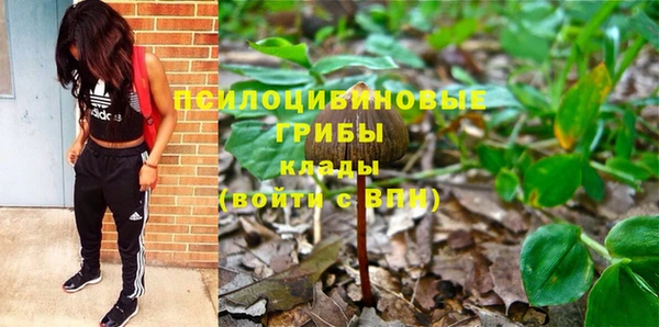 гашик Горняк