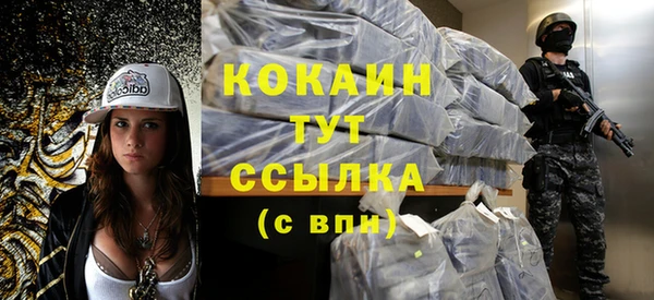 гашик Горняк