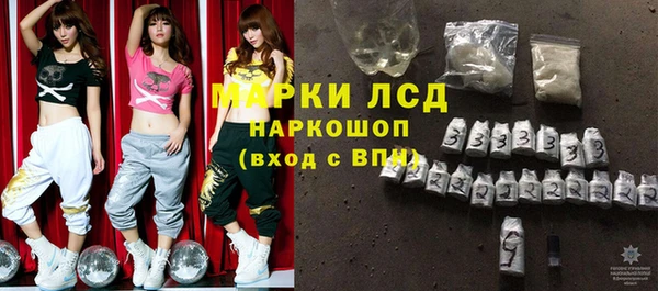 гашик Горняк