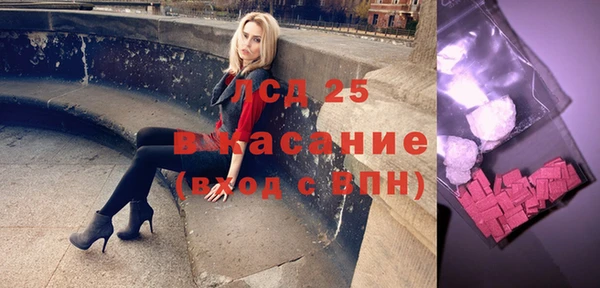 гашик Горняк
